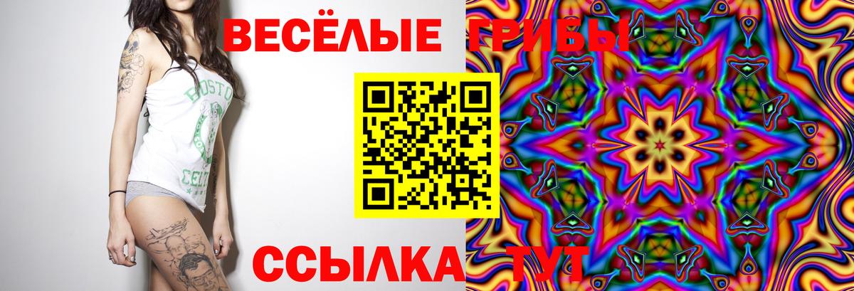 Галлюциногенные грибы мухоморы  Вход с VPN  Новокубанск 