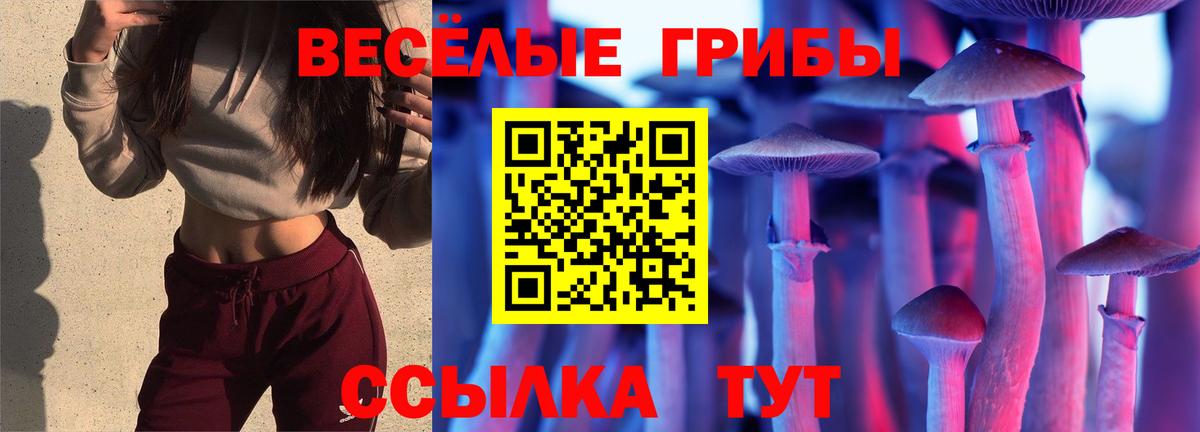 МЕФ Новокубанск
